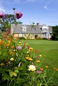 Cosmea und Wiesenblumen neben gemähtem Rasen in grossem Garten, im Hintergrund Wohnhaus