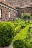 Half-height clipped hedges and box balls in garden of brick farmhouse