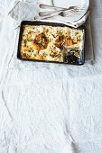Vegetarian pepper lasagne with ricotta and pine nuts
