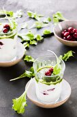 Lettuce and cranberry yoghurt