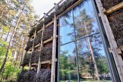 Bundles of brushwood on wooden rack against facade of architect-designed house