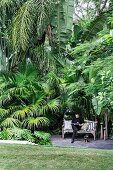 Idyllischer Sitzplatz, Mann auf Holzbank, unter grossen Palmen in tropischem Garten