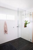 Minimalist white shower area with black floor tiles, glass partition and decorative house plant