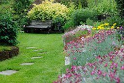 Various flowering plants in summer garden (antennaria in foreground spirea behind bench) and stepping stones in clipped lawn