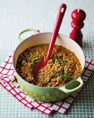 Vegetarian lentil ragout with brown lentils