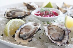 Oysters