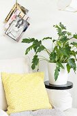 Yellow and white patterned scatter cushion on armchair next to house plant on black plant stand