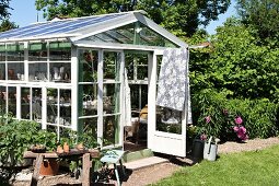 Sonnenbeschienenes Gewächshaus mit Sprossenverglasung in blühendem Garten