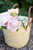 Pale pink peonies in wicker shopping bag on gravel floor