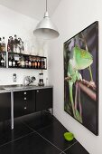 Large photo of chameleon in black kitchen with shelving and tiled floor