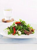 Rocket salad with beef steak, goat cheese and roasted peppers