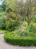 Geschwungene, formgeschnittene Hecke um Rabatte in sommerlichem Garten