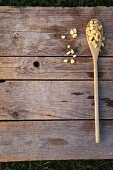 A wooden spoon with sweetcorn on a wooden surface