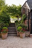 Old house with brick and wood façade, flight of steps, plants in terracotta pots and box balls