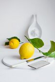 Lemons with leaves with a white ceramic juicer in the background