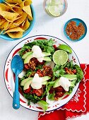 Salat mit mexikanisch gewürztem Truthahnfleisch und Maischips