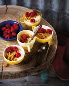 Lemon cream with raspberries and biscuits crumbs