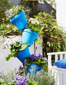 Blauer Blütenturm als Platzsparer auf kleinem Balkon: schräg auf einen Besenstiel gefädelte Blumentöpfe