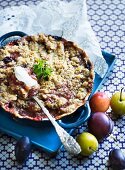 Plum crumble cake in a baking tray