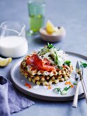 Buttermilk waffles with cured ocean trout and fennel salad