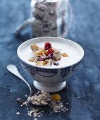 Muesli with dried fruits and berries