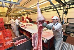 Butchers cutting up pig carcasses in a slaughterhouse, Germany