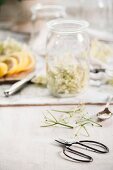 Ingredients for homemade elderflower lemonade