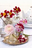 Table centrepiece of bicolour dahlias on silver tray and mercury glass vases