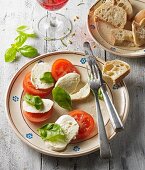 Insalata caprese (Tomate, Mozzarella und Basilikum, Italien )