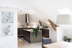 Open-plan modern kitchen with free-standing island counter below stainless steel extractor hood