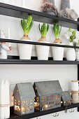 Zinc house lanterns, festive decorations and hyacinths on narrow plate rack on wall