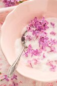 Pink lilac flowers in a bowl of sugar