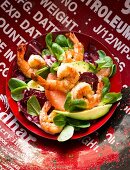 Prawn salad with grapefruit and avocado