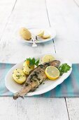 Fried trout with parsley potatoes