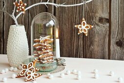 Gingerbread stars hung from branch and in dish under glass cover next to lit candle