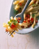 Maccaroni with freshly diced tomatoes on a fork