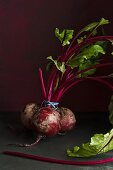 A bunch of beetroots on a dark surface