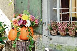 Dahlienstrauss in ausgehöhltem Kürbis als Vase auf Baumstumpf, vor rustikalem Haus