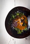 Kokos-Thunfisch-Curry