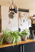 Zimmerpflanze auf Küchenarbeitsplatte und Kochgeschirr an Vintage Haken von Decke abgehängt