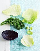 Various cabbage leaves on a pastel blue surface
