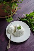 Fresh ricotta on a white plate and fresh herbs and wooden table