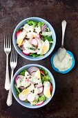 Cos lettuce with radishes, eggs, marinated peppers and an avocado-yoghurt sauce