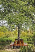 Holzbank um Baum aufgestellt, in sommerlichem Garten