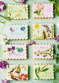Shortbread biscuits decorated with flower and butterfly motifs