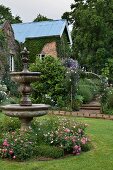 Flowering rosebushes around stone fountain in garden with partially visible country house in background