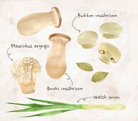An arrangement of spring onions and various mushrooms (ilustration)