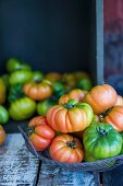 Merinda tomatoes in a wire basket