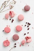 Violette & rosafarbene Macarons (Aufsicht)