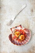 Fried scallops on tomato salsa